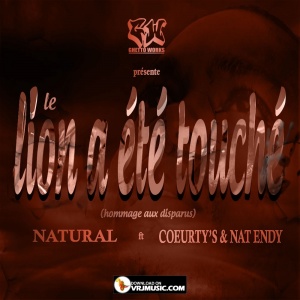 Le lion a été touché